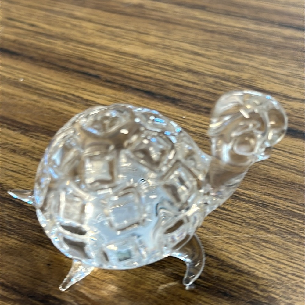 Crystal Turtle - Picture 3 of 4